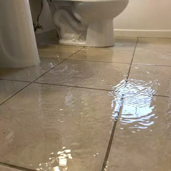 Expert Flooded Bathroom Restoration in Durham, NC 