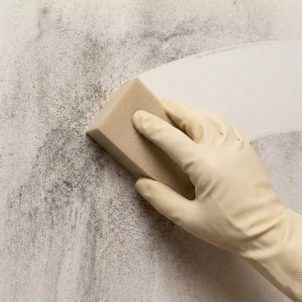 Smoke Cleaning in Durham, NC 