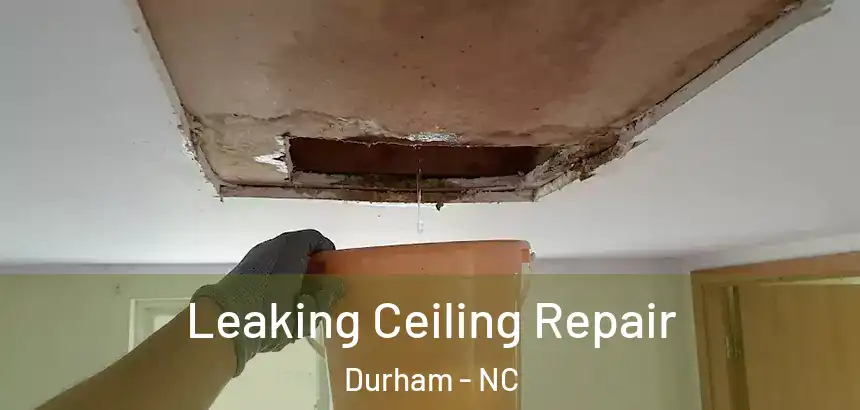  Leaking Ceiling Repair Durham - NC